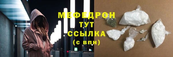 индика Саяногорск