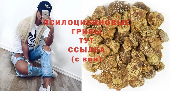 ГАЛЛЮЦИНОГЕННЫЕ ГРИБЫ Верхний Тагил