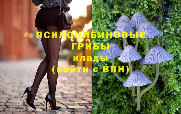 apvp Верея