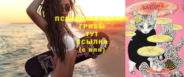 apvp Верея