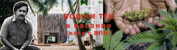 ГАЛЛЮЦИНОГЕННЫЕ ГРИБЫ Верхний Тагил