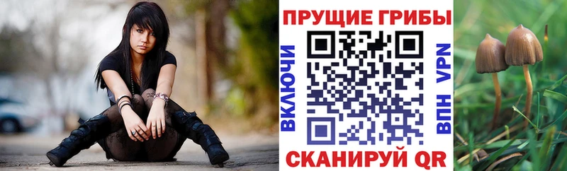 Галлюциногенные грибы MAGIC MUSHROOMS  Гай 
